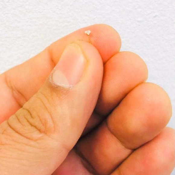 14K Yellow Gold Nose Ring for Women,13mm Nose Ring - Picture 3 of 4